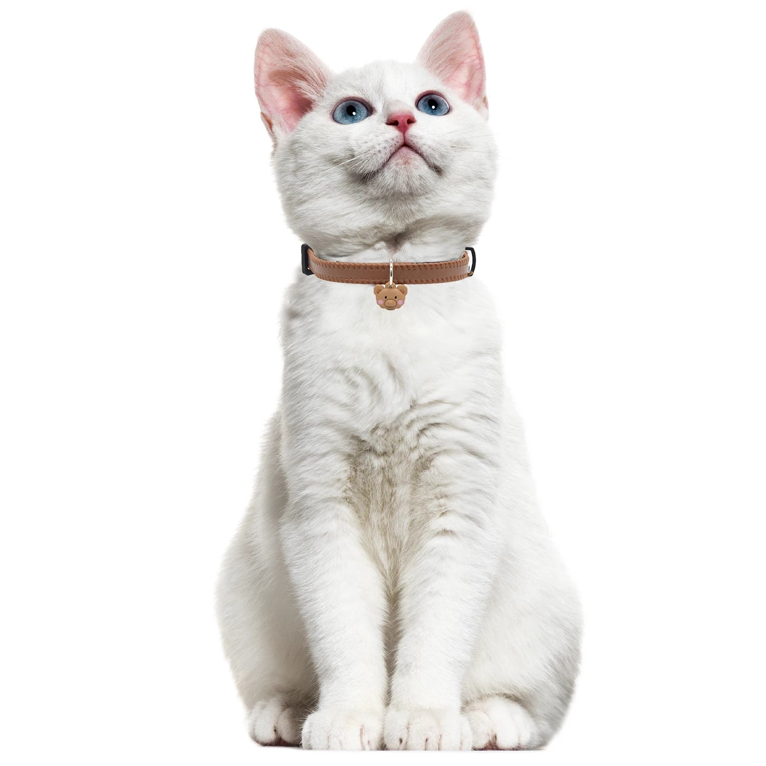 Leather Cat Collar Breakaway with Safety Buckle for Cats Puppy Pet Supplies Fashion Light Weight Cat Accessories Kiten Colla