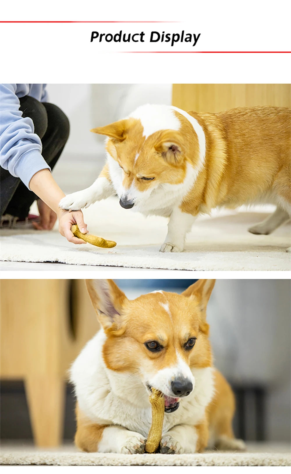 Gigwi Dog Chew Toys Real Wooden Deer Antlers for Aggressive Chewers Large Dog Chewing Indestructible Tough Durable Pet Toys Gift