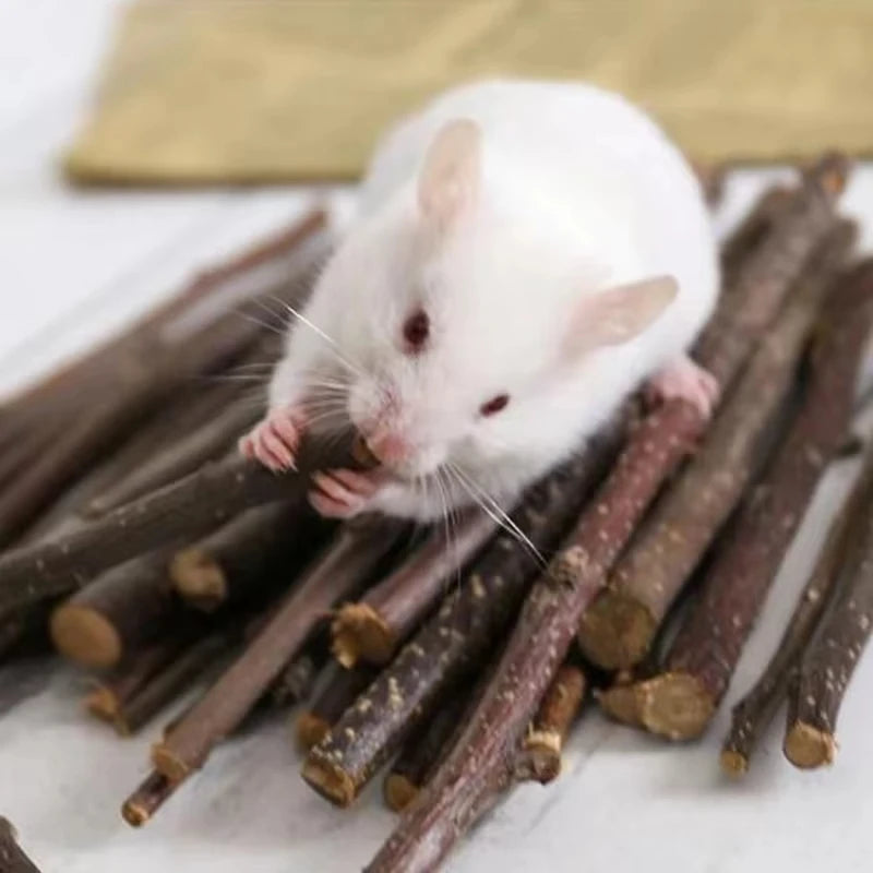 Guinea Pig Rabbit Hamster Small Animal Play Pet Roller Toys Natural Wooden Pine Dumbells Unicycle Bell Chew Chewing Braided Ball