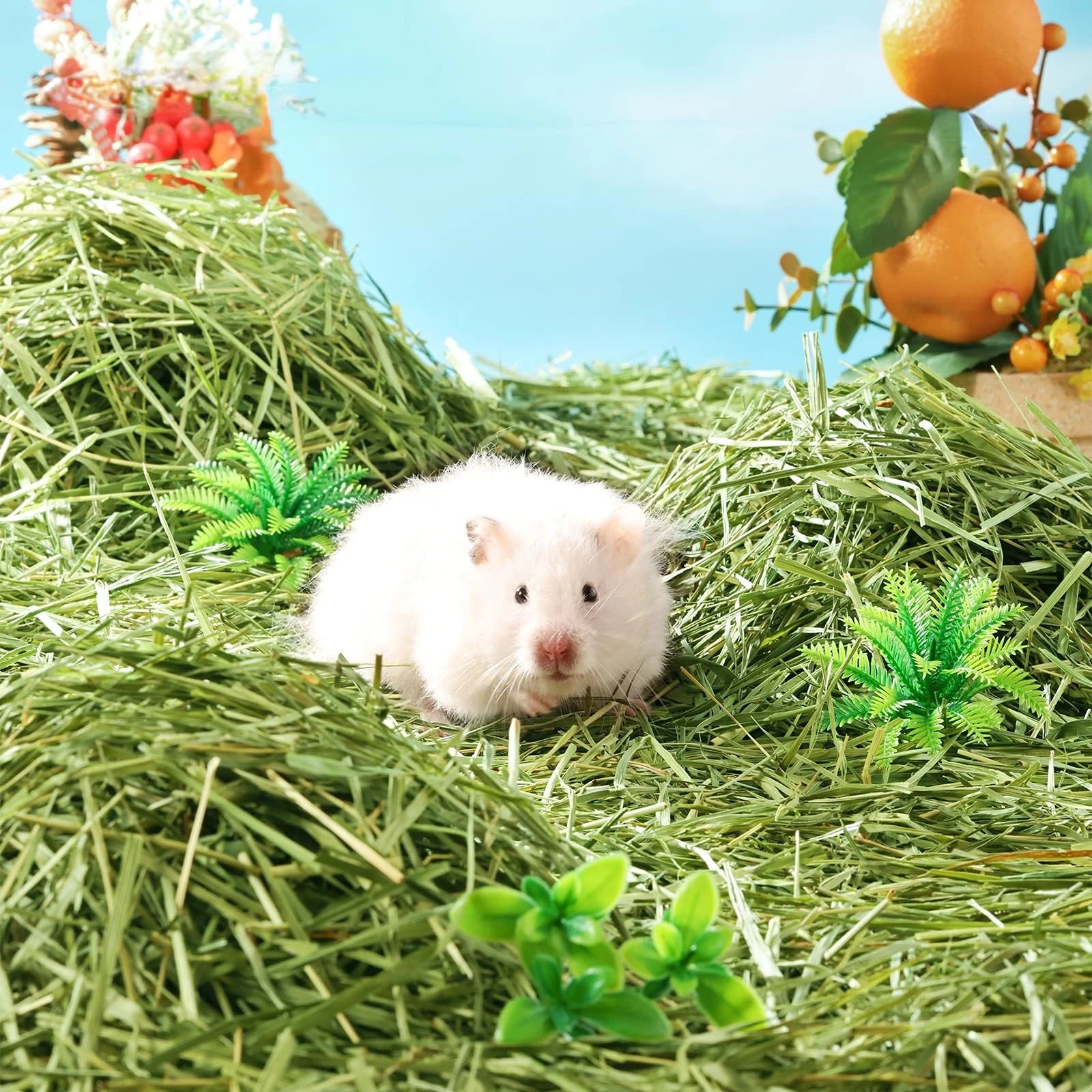 300g Timothy Hay Natural Hamster Bedding Small Animal Nesting Bedding Straw Habitat Decor for Dwarf Syrian Hamsters Gerbils Mice