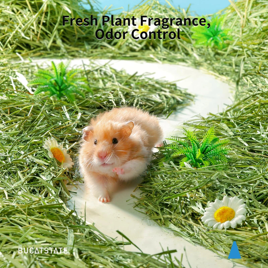 300g Timothy Hay Natural Hamster Bedding Small Animal Nesting Bedding Straw Habitat Decor for Dwarf Syrian Hamsters Gerbils Mice