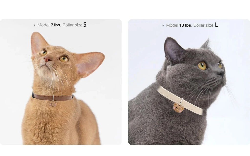 Leather Cat Collar Breakaway with Safety Buckle for Cats Puppy Pet Supplies Fashion Light Weight Cat Accessories Kiten Colla