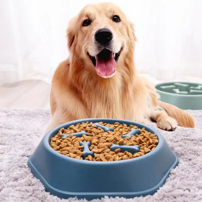 Slow Feeder Dog Bowl Anti-choking Puppy Food Bowl Anti-slip Pet Slow Eating Dog Dishes Puzzle Feeders for Dogs Small Medium