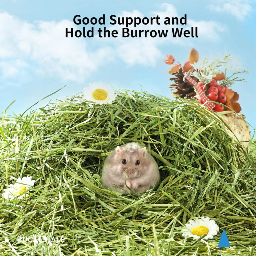 300g Timothy Hay Natural Hamster Bedding Small Animal Nesting Bedding Straw Habitat Decor for Dwarf Syrian Hamsters Gerbils Mice