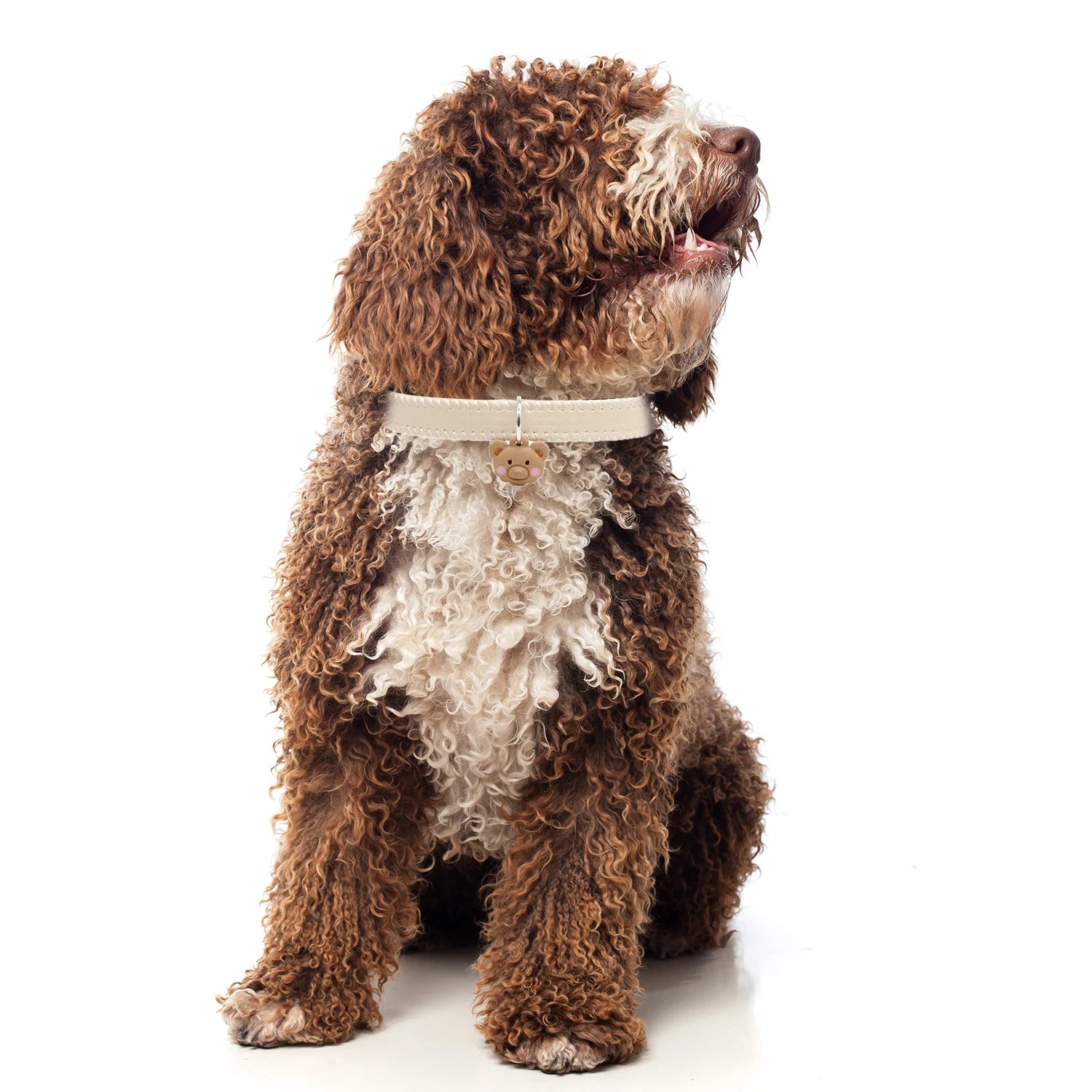 Leather Cat Collar Breakaway with Safety Buckle for Cats Puppy Pet Supplies Fashion Light Weight Cat Accessories Kiten Colla